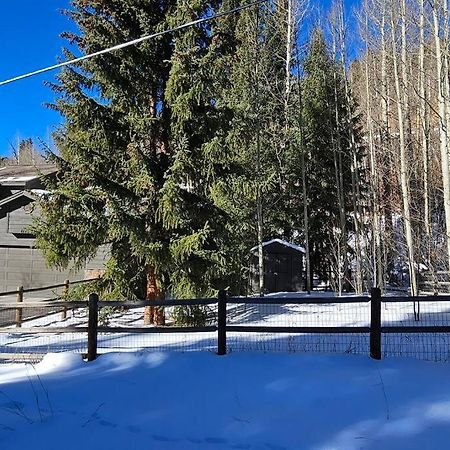 Private And Updated Breck Home With Hot Tub ブリッケンリッジ エクステリア 写真
