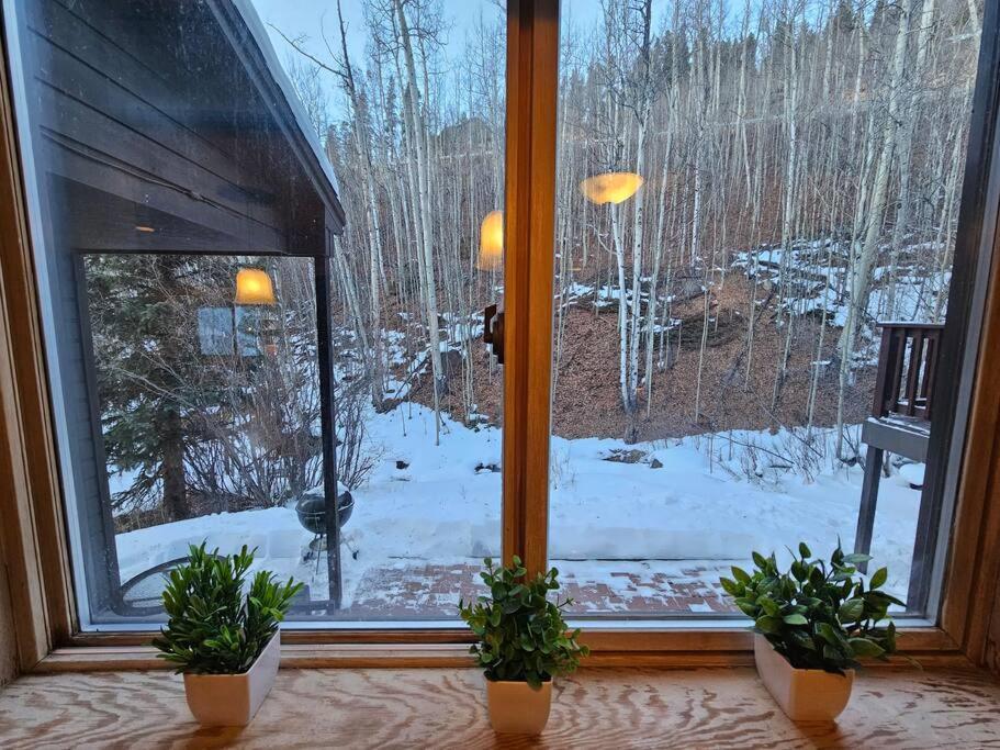 Private And Updated Breck Home With Hot Tub ブリッケンリッジ エクステリア 写真