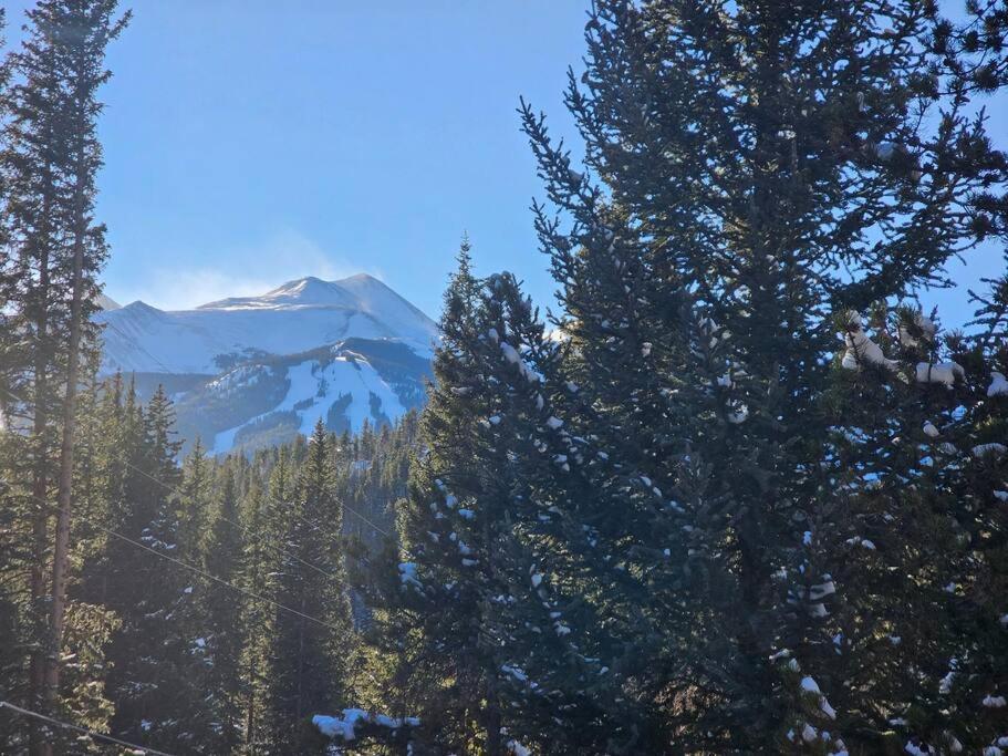 Private And Updated Breck Home With Hot Tub ブリッケンリッジ エクステリア 写真