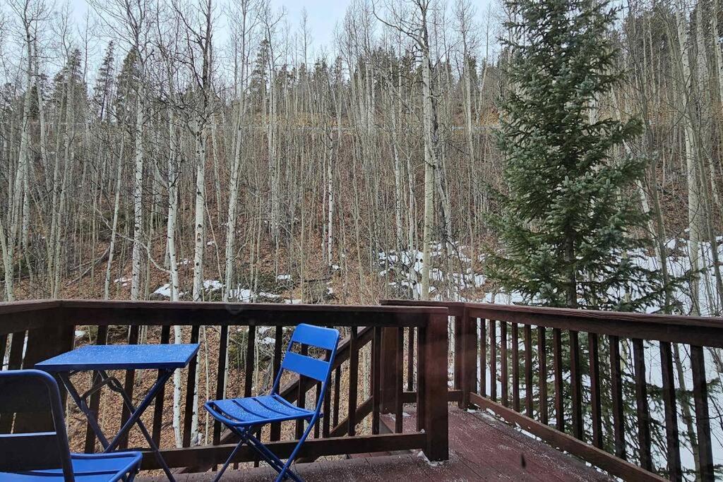 Private And Updated Breck Home With Hot Tub ブリッケンリッジ エクステリア 写真