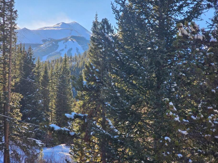 Private And Updated Breck Home With Hot Tub ブリッケンリッジ エクステリア 写真